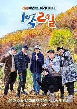 韩国短剧我的AI男友